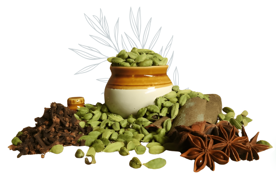 Premium Indian Spices